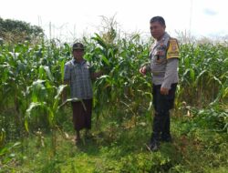 Bhabinkamtibmas Turun ke Desa, Warga Siap Tanam Jagung