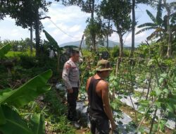 Polsek Kuripan Dorong Ketahanan Pangan, Warga Antusias!