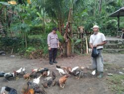 Bhabinkamtibmas Batulayar Sosialisasikan Pemanfaatan Pekarangan