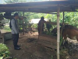 Ketahanan Pangan dari Rumah: Polri Ajak Warga Tanam Sayur di Pekarangan