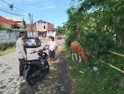 Sosialisasi Pangan Sehat: Bhabinkamtibmas Ajak Warga Tanam Sayur