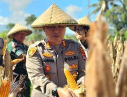 Ketahanan Pangan: Kunjungan Strategis Kapolres Lombok Barat