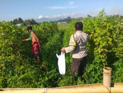 Polsek Kuripan Aktif Sosialisasikan Pemanfaatan Lahan Produktif