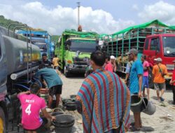 Polisi dan Instansi Terkait Tangani Krisis Air Minum Ternak di Pelabuhan