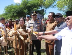 Kapolda NTB Dampingi Mentan RI Panen Raya Jagung di Sumbawa