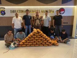 Polisi Gagalkan Peredaran 47 Kg Ganja di Sumbar, 4 Tersangka Ditangkap