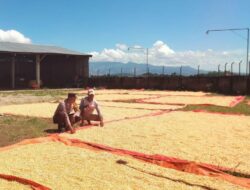 Motifasi Petani Sukseskan Ketahanan Pangan Nasional, Bhabinkamtibmas Polsek Woha Sambangi dan Bantu Proses Pengeringan Jagung
