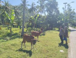 Dukung Ketahanan Pangan, Bhabinkamtibmas Ajak Warga Manfaatkan Pekarangan