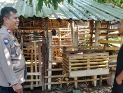 Sambang Warga Bhabinkamtibmas Senggigi: Wujud Komitmen Polri Dukung Ketahanan Pangan