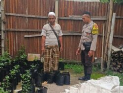 Ketahanan Pangan Nasional Dimulai dari Pekarangan Rumah: Inisiatif Polsek Kuripan