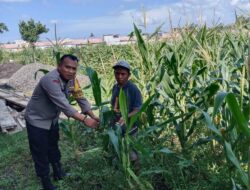 Program Ketahanan Pangan Nasional: Langkah Konkret Polri di Lombok Barat