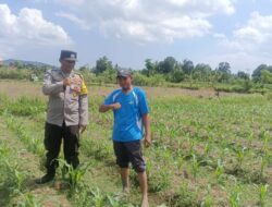 Sinergi Polri dan Petani: Polsek Gerung Galakkan Pemanfaatan Lahan Pekarangan untuk Pangan Bergizi