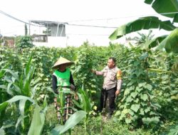 Polri Aktif Dukung Ketahanan Pangan Lewat Kegiatan Sambang Desa