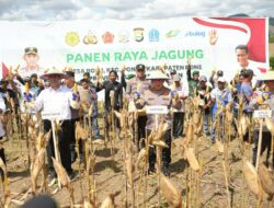 Kapolri-Mentan Panen Raya Jagung di Bone, Dukung Program Ketahanan Pangan Nasional