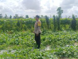 Polisi Gandeng Petani Desa Beleka Wujudkan Ketahanan Pangan