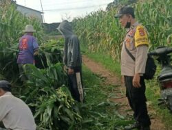 Dukung Program Pangan Nasional, AIPDA Khairul Iman Dampingi Petani Lombok Barat