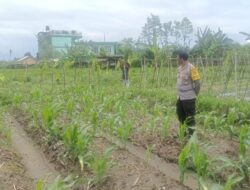 Silaturahmi Polisi dan Petani, Perkuat Pangan dan Keamanan Desa Beleka