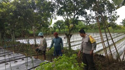 Kolaborasi Petani dan Bhabinkamtibmas di Kediri Wujudkan Pertanian Aman