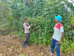 Sinergi Polri dan Warga Desa Rumak Wujudkan Swasembada Pangan di NTB