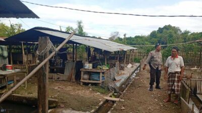 Aipda Sudarman Giatkan Diversifikasi Pangan di Lombok Barat