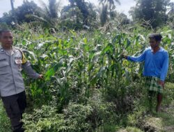 Kunjungan Bhabinkamtibmas di Lombok Barat Dorong Produksi Pangan