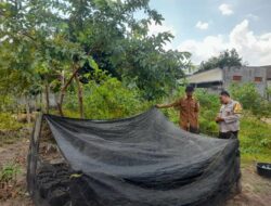 Kepolisian Kediri Dukung Ketahanan Pangan Lewat Program Rumah Hijau