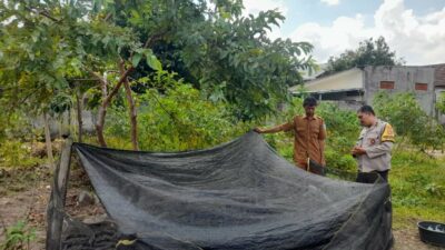 Bhabinkamtibmas Gelogor Dorong Warga Tanam Pangan di Halaman Rumah