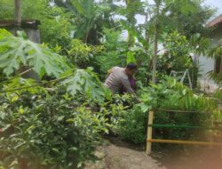 Inovasi Ketahanan Pangan di Suka Makmur: Kolaborasi Warga dan Bhabinkamtibmas