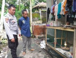 Pekarangan Jadi Lumbung: Inovasi Pangan di Desa Jagaraga