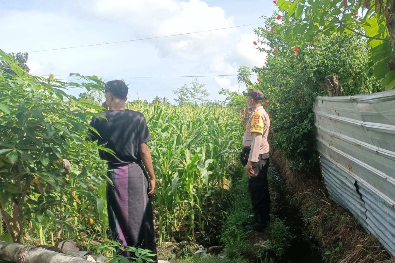 Jagung Bonanza dan Peran Polri dalam Ketahanan Pangan