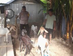 Petani di senggigi dan Polisi Bangun Ekosistem Pangan Berkelanjutan