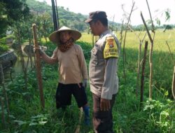 Sinergi Polri-Masyarakat di Lombok Barat untuk Kemandirian Pangan