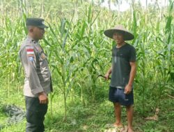 Sinergi Polri dan Warga Lombok Barat Wujudkan Kemandirian Pangan