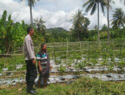 Dukung Ketahanan Pangan, Polri Aktif di Desa Batu Putih