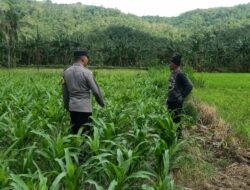 Kunjungan DDS: Ketahanan Pangan dan Kamtibmas Jadi Fokus Polisi Sekotong