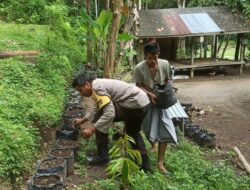 Warga Dusun Orong Sukses Tanam Sayur di Pekarangan, Didampingi Polisi