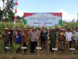 Dukungan Penuh Polri dan Pemda dalam Panen Raya Jagung NTB