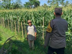 Optimalisasi Lahan Kosong, Polres Lombok Barat Giatkan Program Pangan