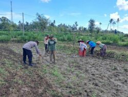 Peran Polri Dalam Swasembada Pangan di Sekotong, NTB