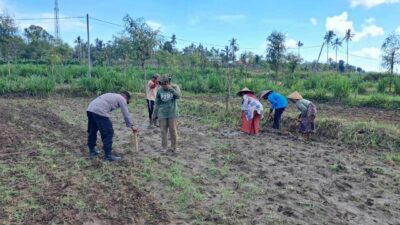 Peran Polri Dalam Swasembada Pangan di Sekotong, NTB