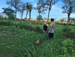 Polres Lombok Barat Gencarkan Program Pekarangan Bergizi