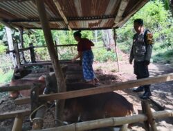 Pemanfaatan Pekarangan, Polri Dukung Ketahanan Pangan Lombok Barat