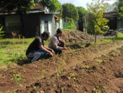 Polda NTB Dorong Warga Tanam Sayur di Pekarangan Rumah