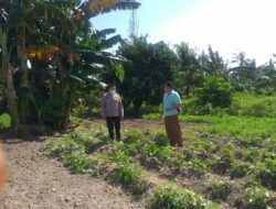 Polri Gandeng Petani Lombok Barat, Wujudkan Ketahanan Pangan Keluarga