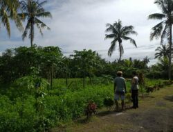 Desa Jagaraga Fokus Pangan Mandiri, Polri Ajak Warga Bertani