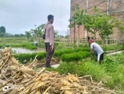 Kolaborasi Polri dan Petani Wujudkan Ketahanan Pangan Lombok Barat