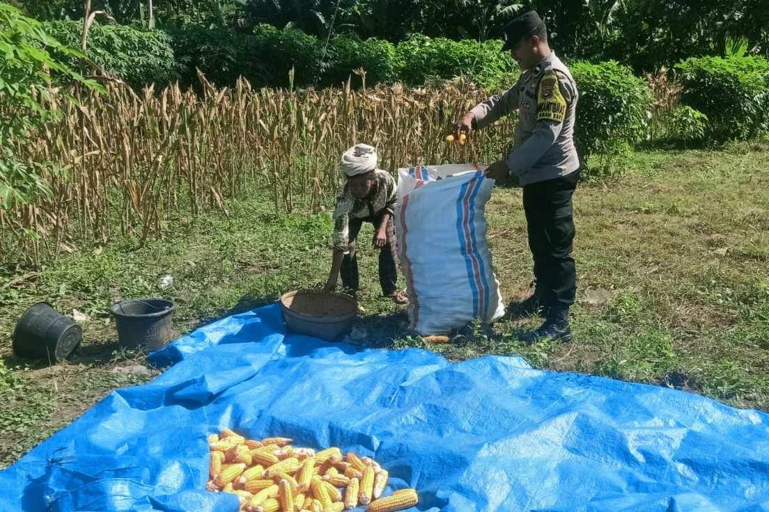 Bangun Pagi: Rahasia Sukses dan Bahagia Terungkap?