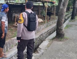 Inisiatif Bhabinkamtibmas di Lombok Barat: Pekarangan Jadi Lumbung Pangan