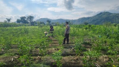 Polisi Bersama Petani Majukan Ketahanan Pangan Lombok Barat