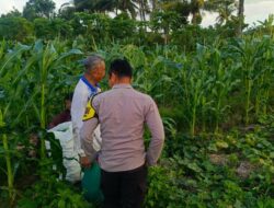 Peran Aktif Bhabinkamtibmas dalam Pertanian Lombok Barat